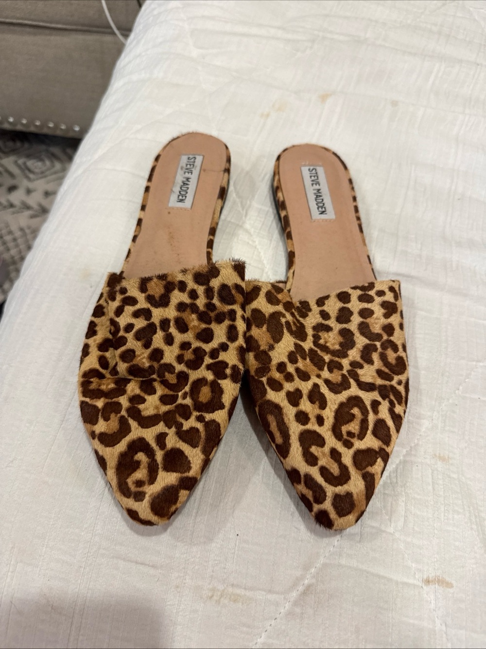 Steve Madden Leopard-Print Pointed Mule Slides in Brown